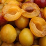 mirabelles dénoyautées