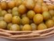 acheter des mirabelles chez masson producteur a faulx