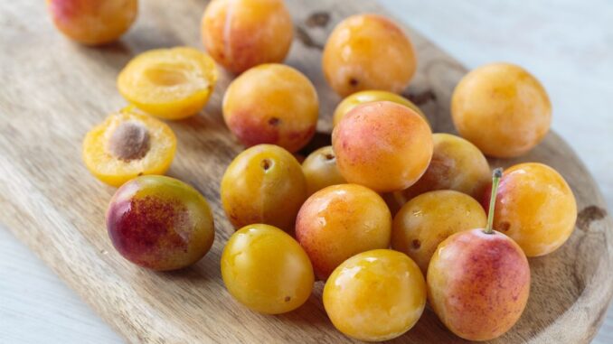 est ce qu'il y aura des mirabelles cet été 2023
