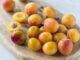 est ce qu'il y aura des mirabelles cet été 2023