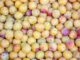 quel pays est le plus gros producteur de mirabelles au monde