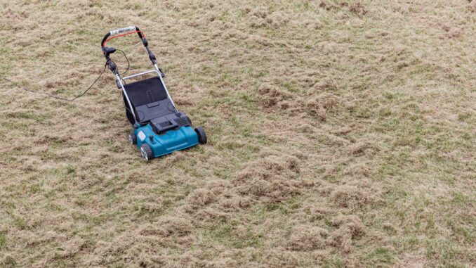 comment bien choisir et utiliser un scarificateur