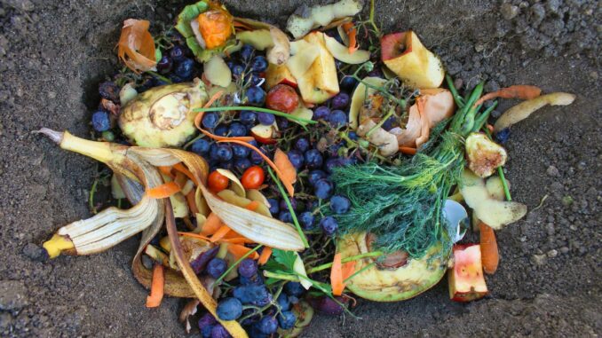 recycler vos déchets de jardin recycler vos déchets de jardin