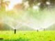guide d'achat les arrosoirs et systèmes d'irrigation