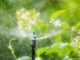 les avantages d'un système d'irrigation automatique