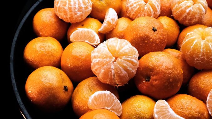 les différentes variétés de mandariniers un guide pour bien choisir