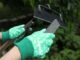 quand et comment aiguiser vos outils de jardinage