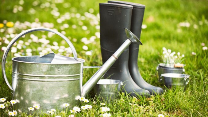 que faire en juin au jardin fleurs, légumes et fruits que faire en juin au jardin fleurs, légumes et fruits