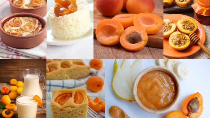 recettes délicieuses à base d'abricots du sucré au salé recettes délicieuses à base d'abricots du sucré au salé