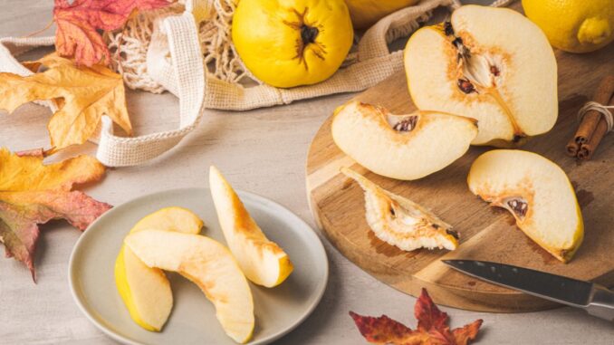 recettes savoureuses a base de coings du sucre au sale