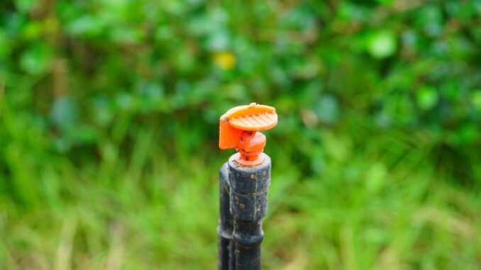 la micro irrigation pour économiser de l'eau