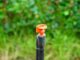 la micro irrigation pour économiser de l'eau