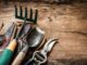 quels outils sont nécessaires pour planter et entretenir un mirabellier