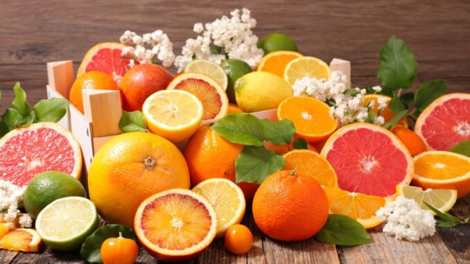 Comment faire pousser des agrumes ?
