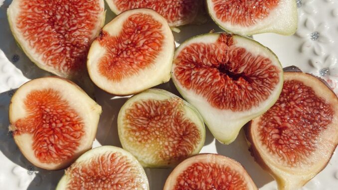 c'est quoi le liquide blanc qui sort des figues
