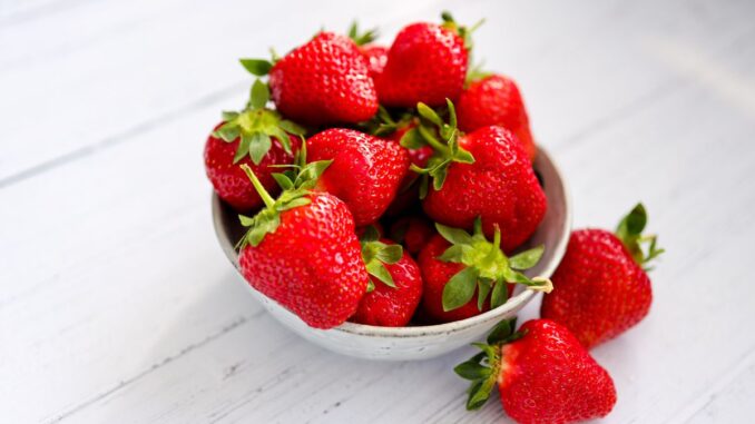 comment conserver des fraises