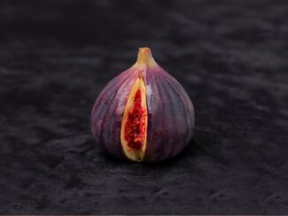comment savoir si un figuier va donner des figues