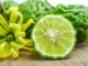 comment se mange une bergamote