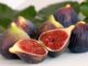 Est-ce que tous les figuiers font des figues ?