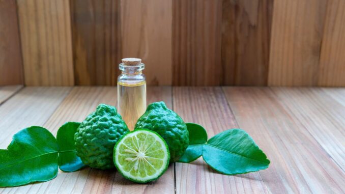 où acheter de la bergamote sauvage où acheter de la bergamote sauvage