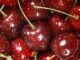 pourquoi les cerises poussent elles par deux