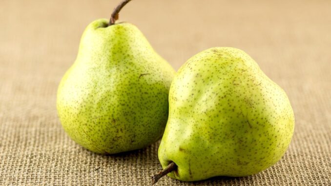 est ce que la poire fait baisser la tension est ce que la poire fait baisser la tension