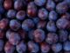 est il bon de manger des prunes tous les jours