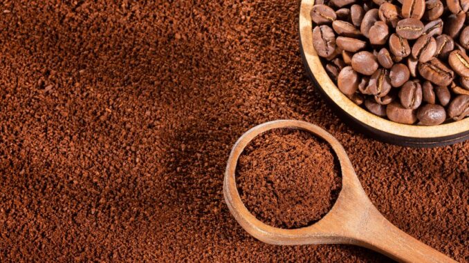 le marc de café est il bon pour les arbres fruitiers