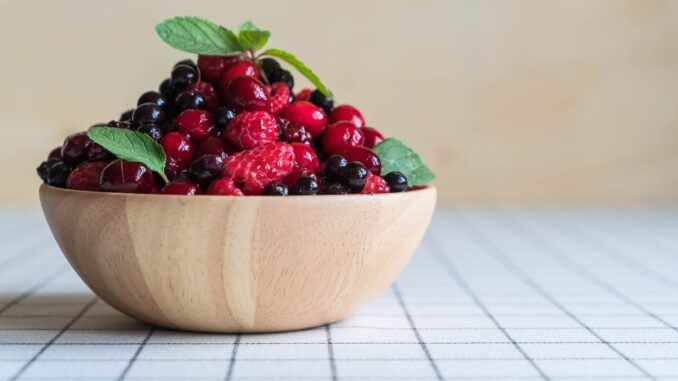 pourquoi mon groseillier ne fait pas de fruit pourquoi mon groseillier ne fait pas de fruit