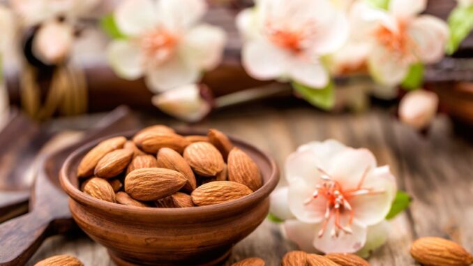 quand récolter les amandes en france