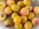quelle est la différence entre une prune et une mirabelle