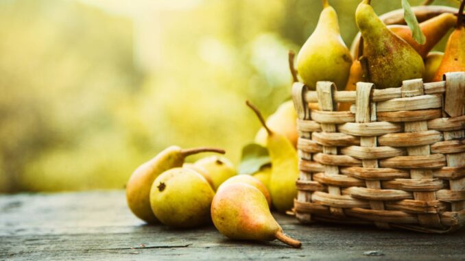 quelle variété de poire est juteuse et sucrée