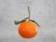 comment faire pousser un mandarinier à partir d'une mandarine