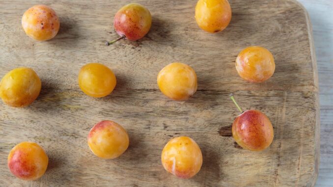 est ce que les mirabelles sont bonnes pour les diabétiques est ce que les mirabelles sont bonnes pour les diabétiques