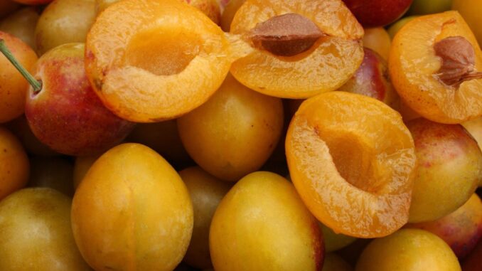 est ce que les mirabelles sont caloriques