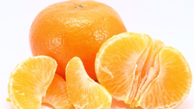 est ce qu'on cultive encore des mandarines