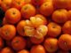 pourquoi mon mandarinier ne donne pas de fruit