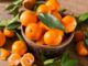 quel est le pays d'origine de la mandarine