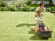 quelle motobineuse choisir pour 200m2 de terrain