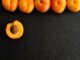 de quel pays l'abricot est il le fruit national