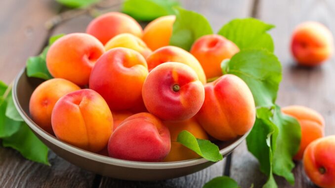 est il bon de manger des abricots tous les jours