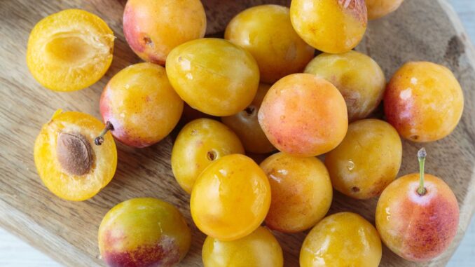 quel est le prix d'une mirabelle au kilo