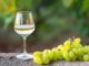 quelle quantité de fruit pour 1 litre d'alcool