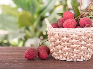 eau de vie de litchi fabrication, recette, prix, degré