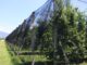 verger quelles protections contre les animaux et les oiseaux